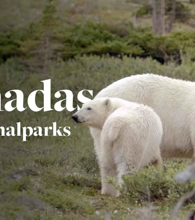 Kanadas Nationalparks