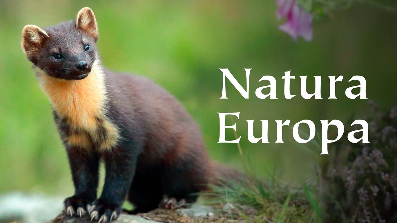 Natura Europa - ZDFmediathek