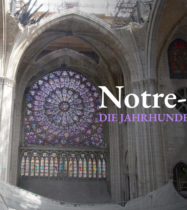 Notre-Dame, die Jahrhundertbaustelle