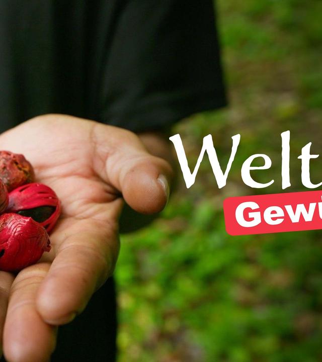 Welt der Gewürze