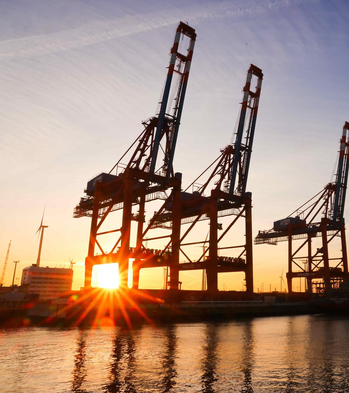 Die Sonne geht hinter Containerbrücken auf dem Terminal Eurogate im Waltershofer Hafen unter.