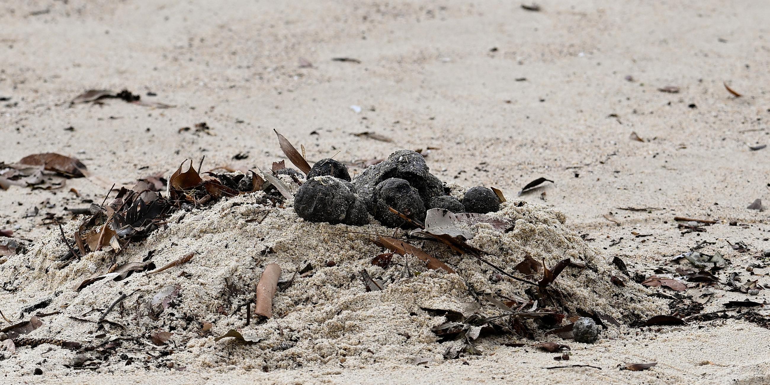 Unbekannte Geröllkugeln am Strand von Coogee, Australien