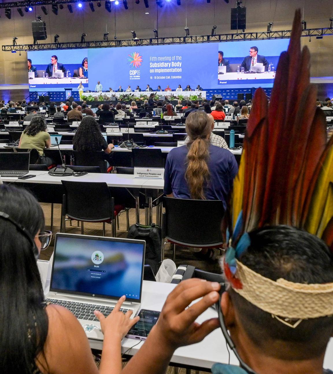 Menschen besuchen eine Vorveranstaltung zum Gipfel am Veranstaltungsort der COP16-Konferenz im Pacific Event Center in Yumbo, in der Nähe von Cali, Departement Valle del Cauca, Kolumbien