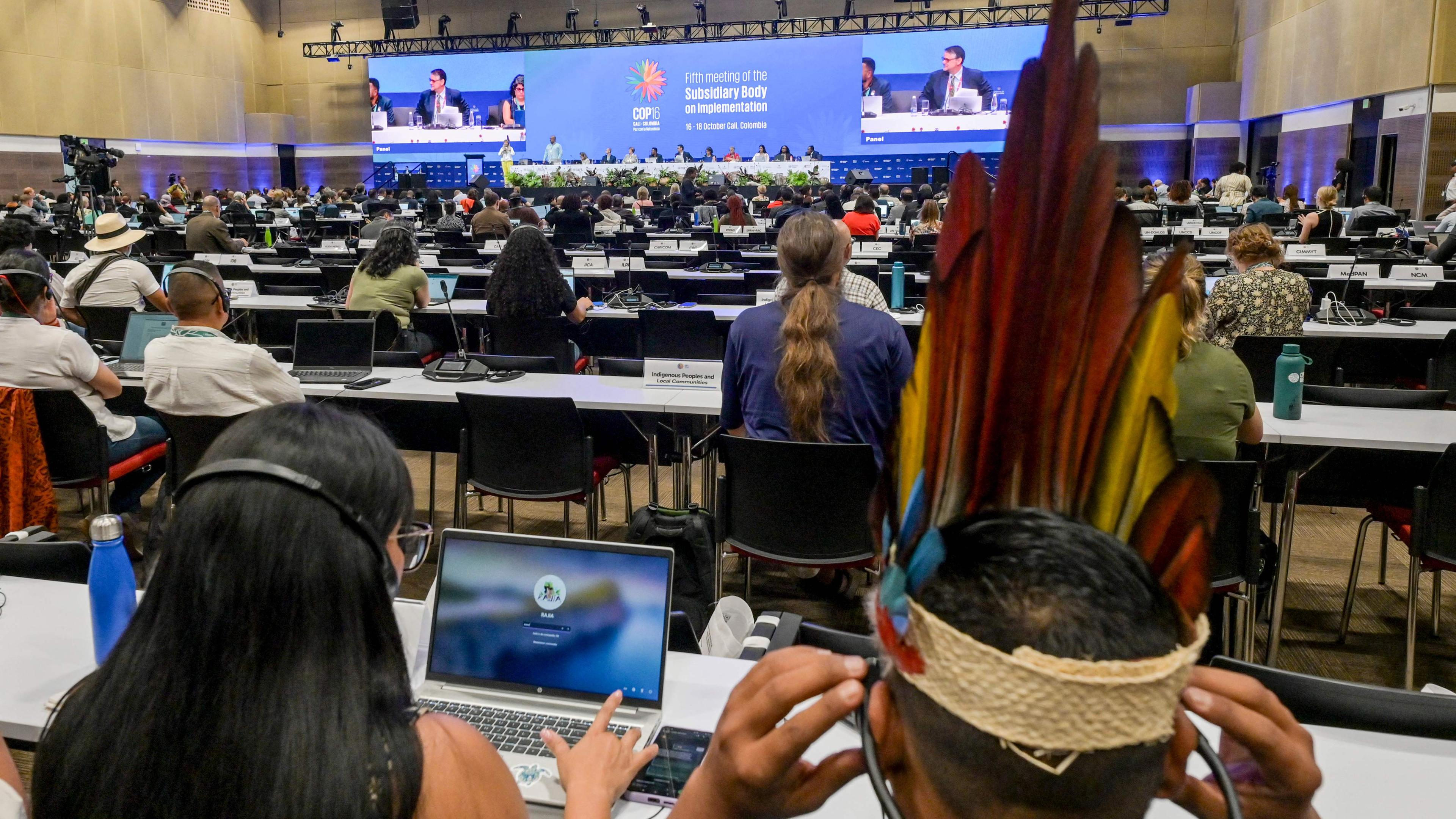 Menschen besuchen eine Vorveranstaltung zum Gipfel am Veranstaltungsort der COP16-Konferenz im Pacific Event Center in Yumbo, in der Nähe von Cali, Departement Valle del Cauca, Kolumbien