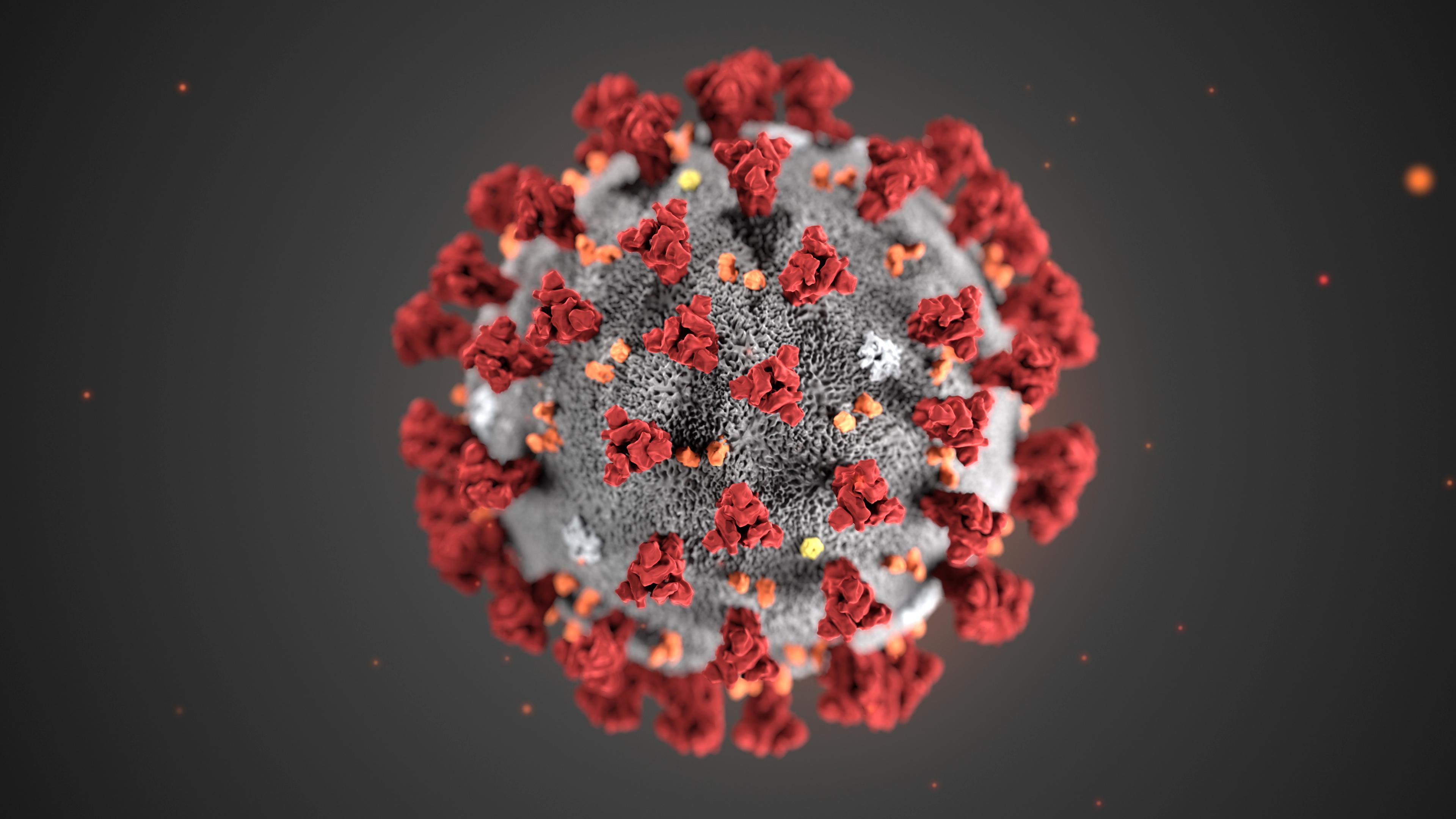 Ein Modell des Coronavirus.