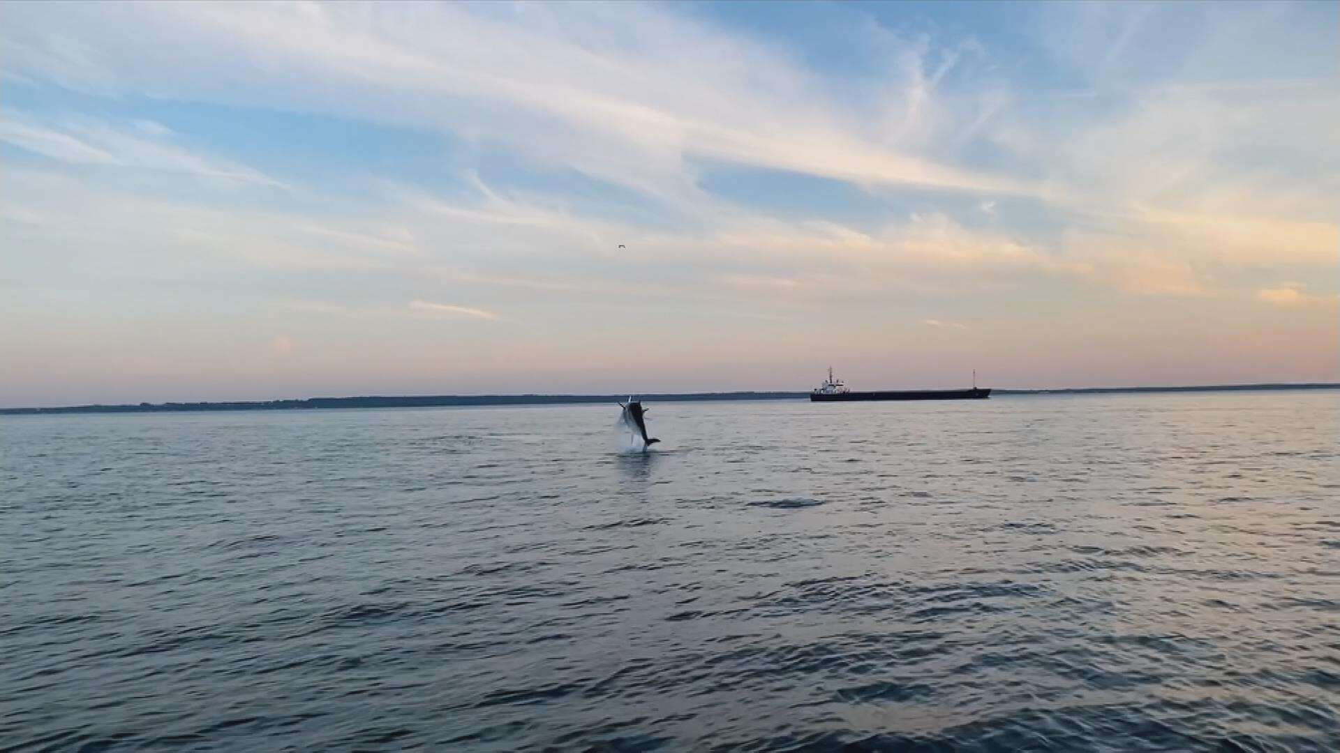 Sonnenuntergang über dem Meer