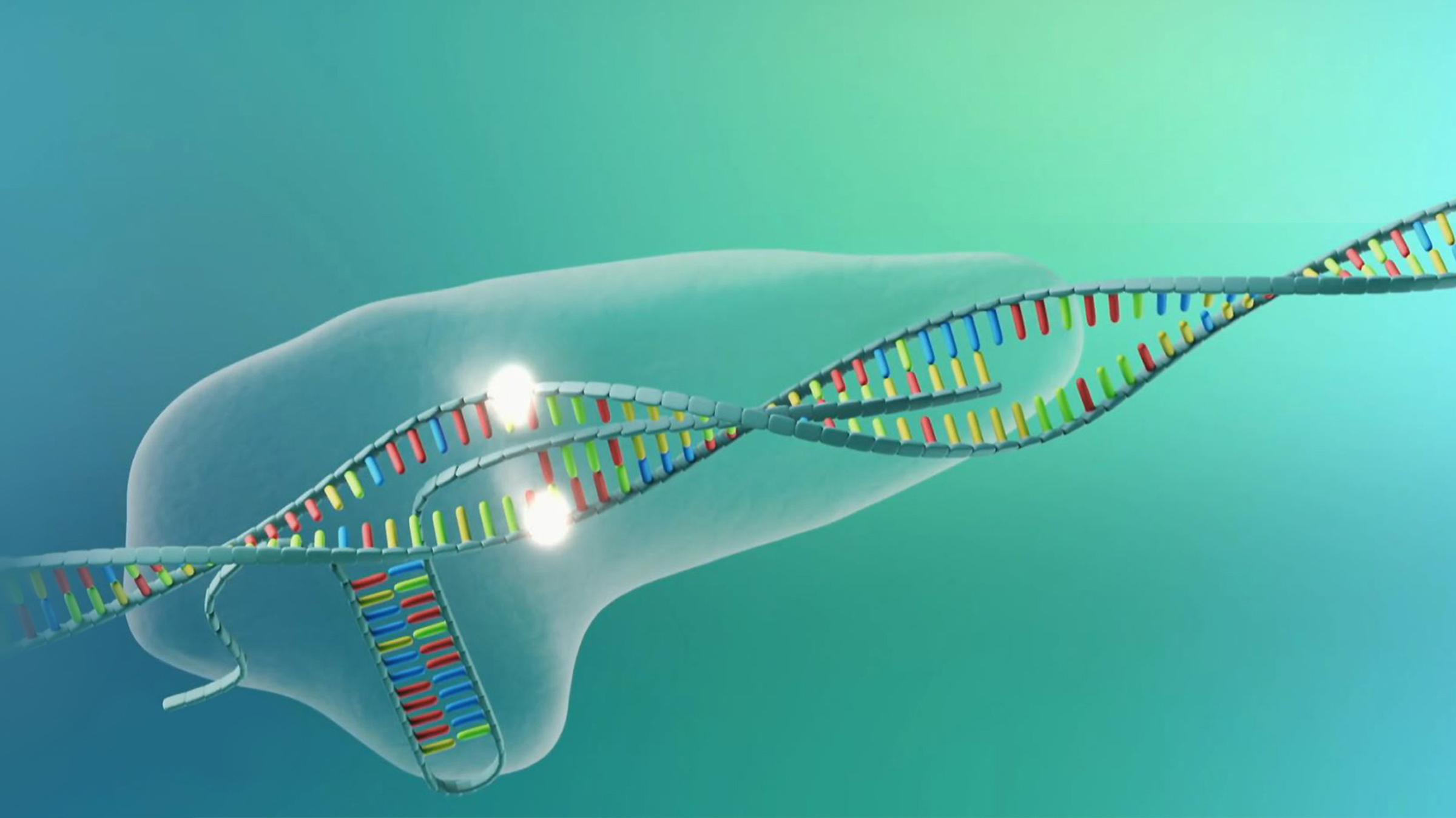 CRISPR/Cas Grafik