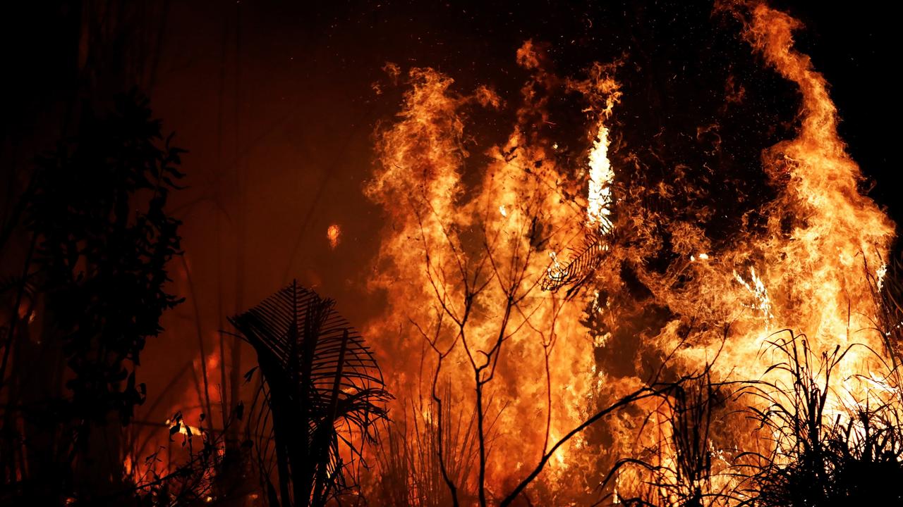 Der Regenwald In Flammen Zdfmediathek