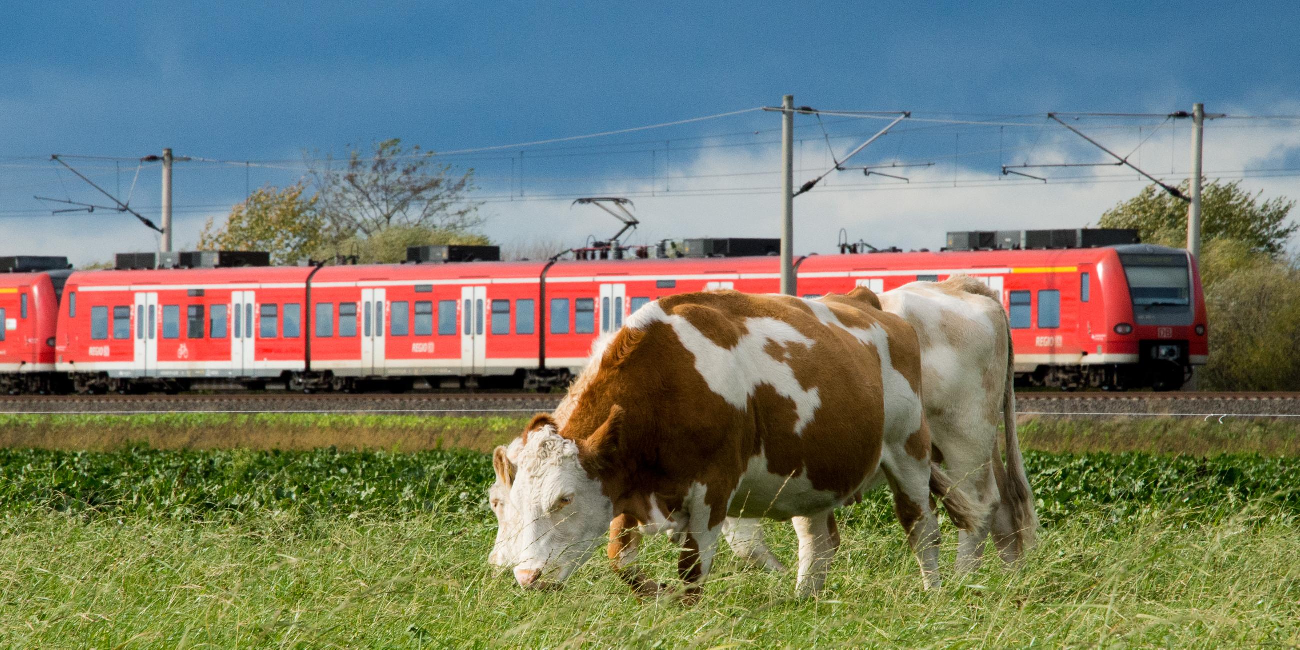 Niedersachsen, Hannover: Ein Regionalzug der DB Regio der Deutschen Bahn fährt über eine Bahntrasse bei Immensen in der Region Hannover