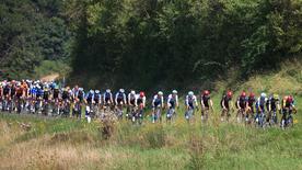 Das Peloton auf der ersten Etappe der Deutschland Tour