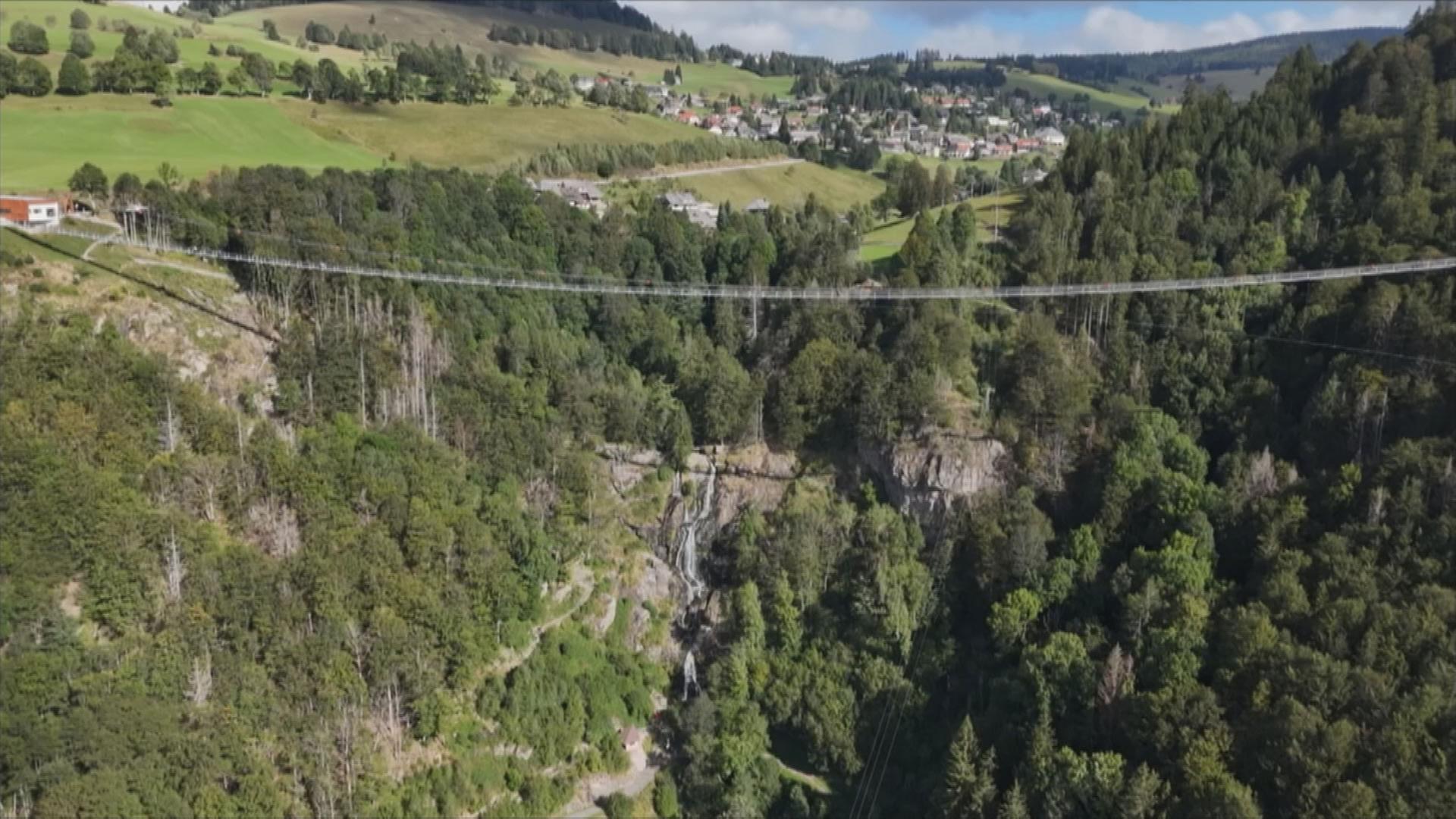 Hängebrücke im Hochschwarzwald