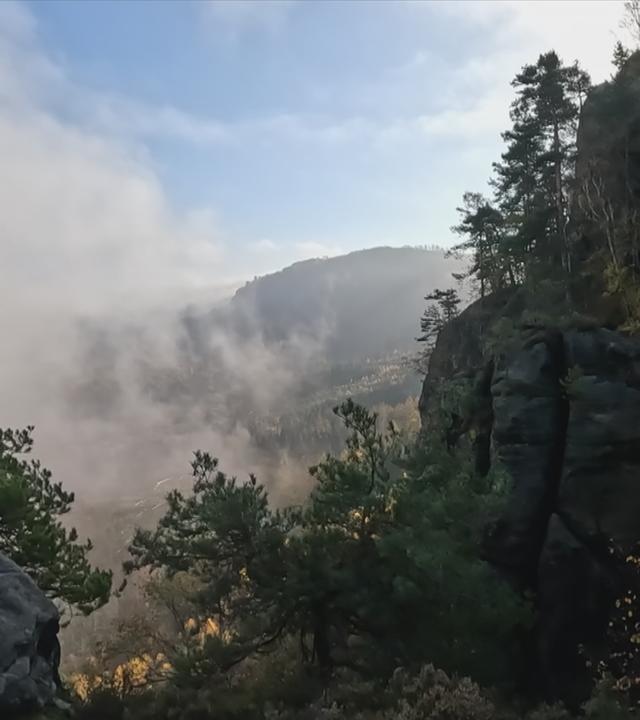 Deutschlandreise Sächsische Schweiz