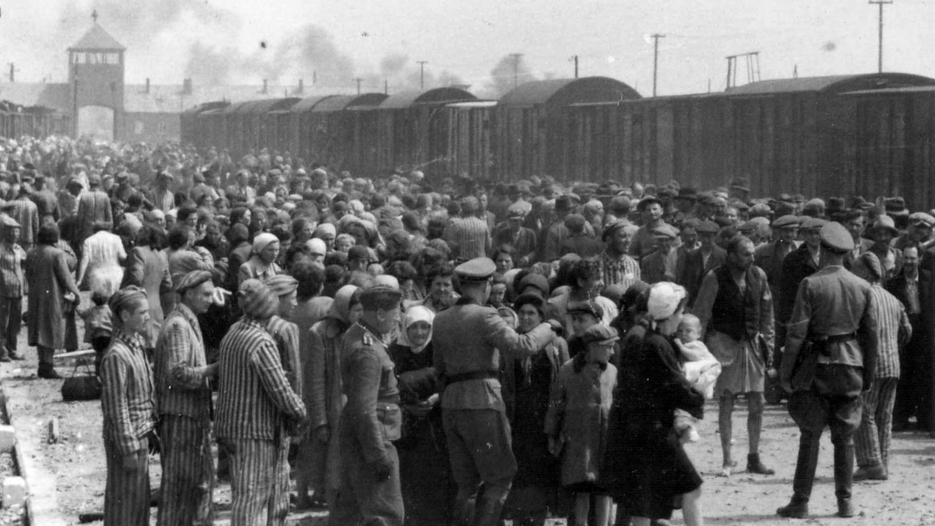 "Die Wahrheit über den Holocaust (9) Das Jahrhundertverbrechen": Juden im Konzentrationslager Auschwitz.