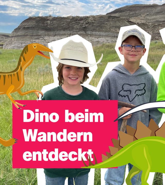 Drei Jungs aus den USA haben beim Wandern einen Dino entdeckt. 