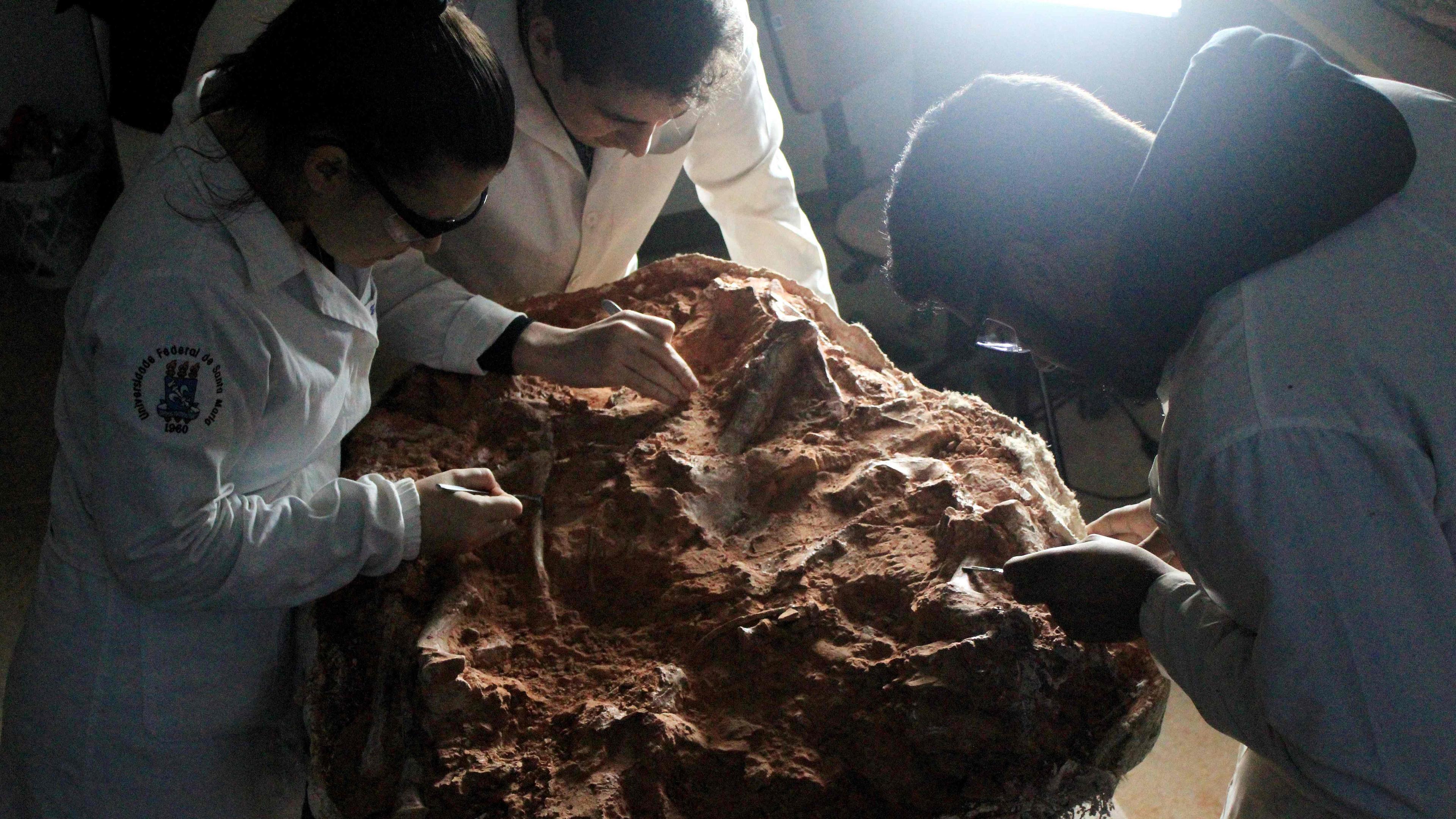 Paläontologen zeigt, der an einem Dinosaurierfossil arbeitet, wurde in Sao Joao do Polesine, Rio Grande do Sul, Brasilien, entdeckt. 