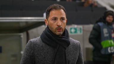 Belgien entlässt Nationaltrainer Tedesco