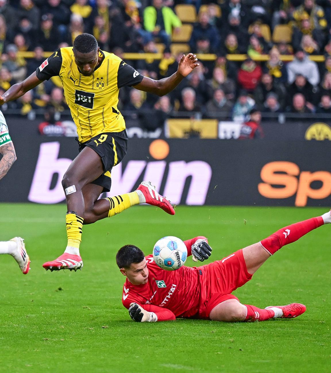 Dortmunds Serhou Guirassy in Aktion beim Spiel gegen Bremen am 25.01.2025.