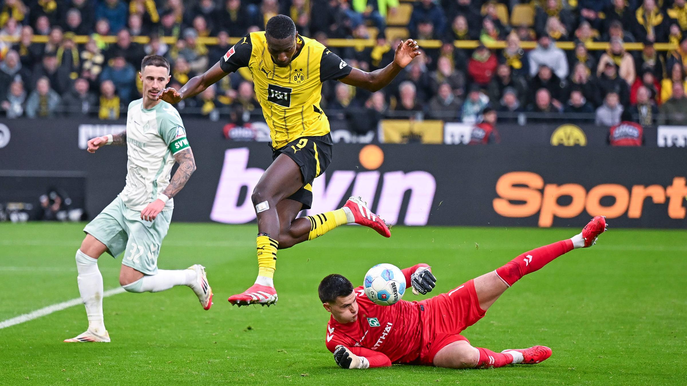 Dortmunds Serhou Guirassy in Aktion beim Spiel gegen Bremen am 25.01.2025.