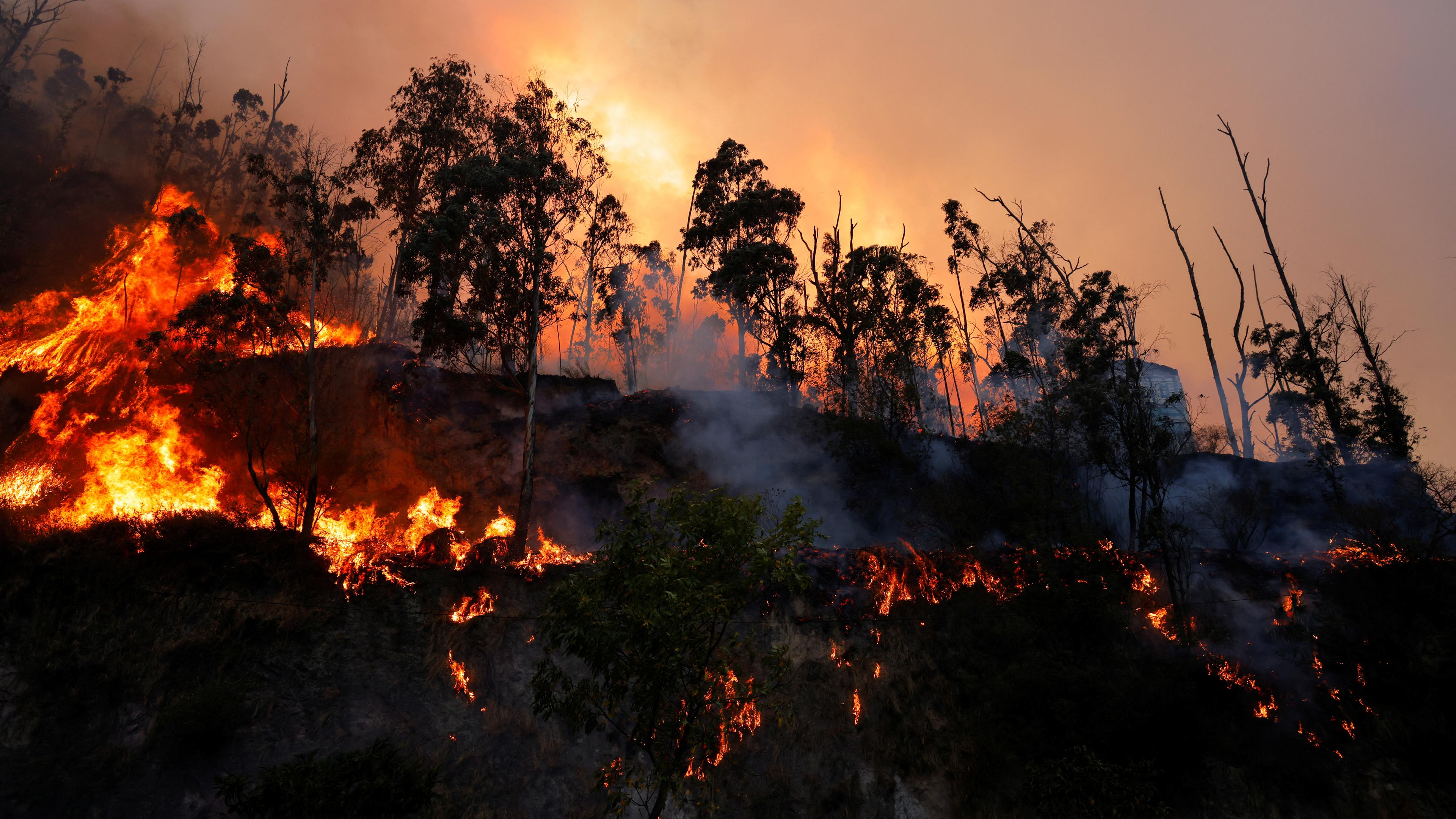 Waldbrand in Ecuador in der Nähe der Hauptstadt Quito.