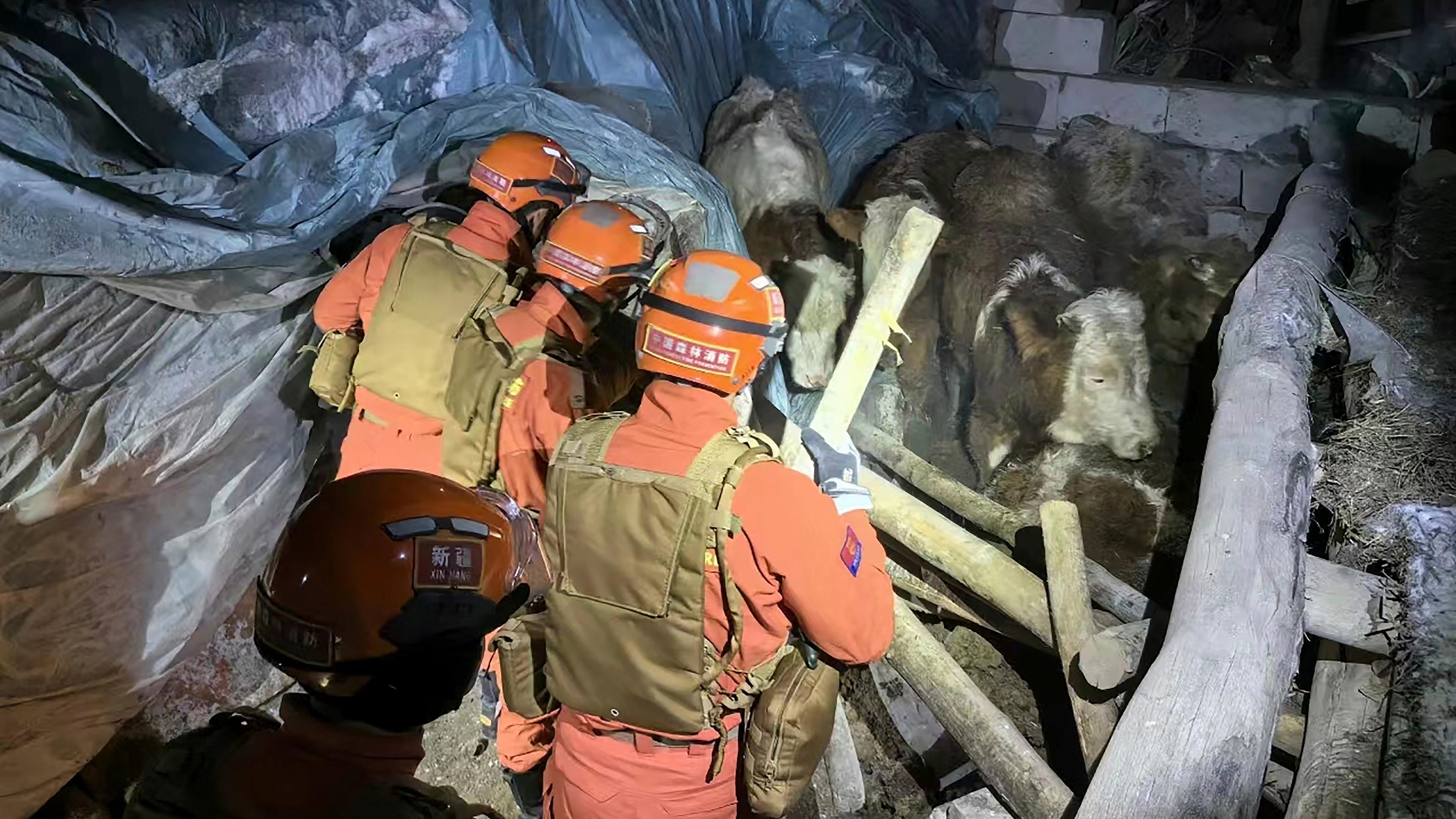 Rettungskräfte durchsuchen am 23.01.2024, ein von einem Erdbeben betroffenes Gebiet in der chinesischen Provinz Xinjiang