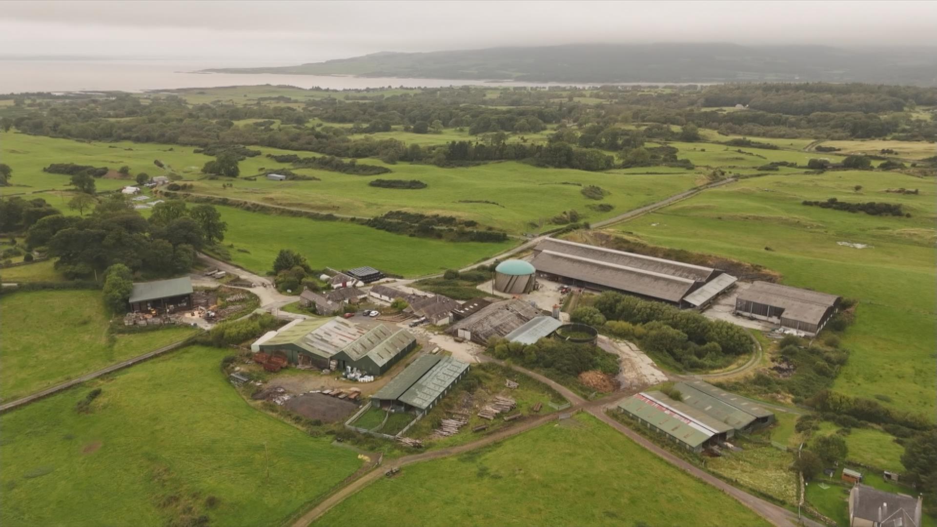 Ethische Milchfarm in Schottland