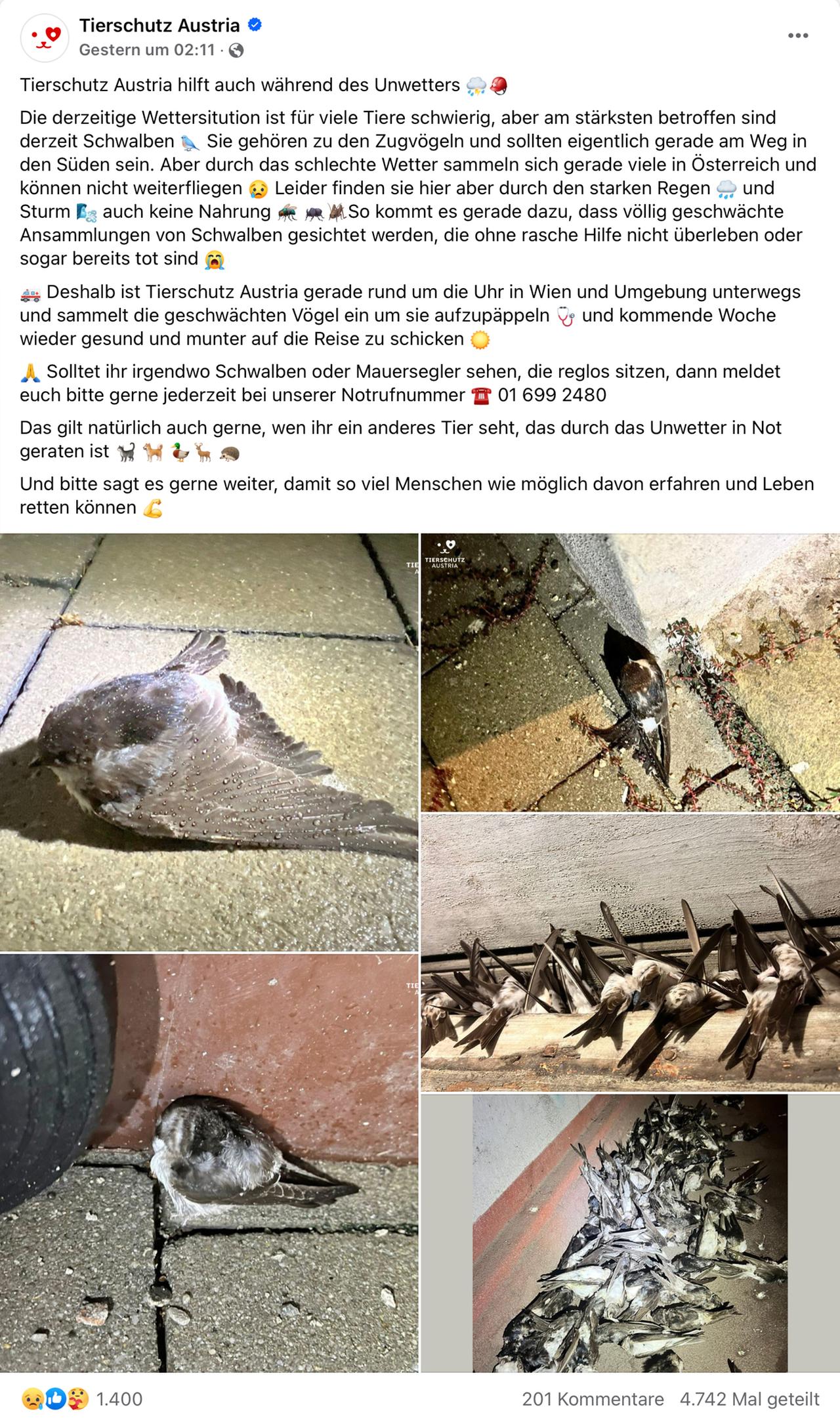 facebook-Screenshot Tierschutz Austria