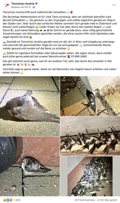 Facebook Screenshot Tierschutz Österreich