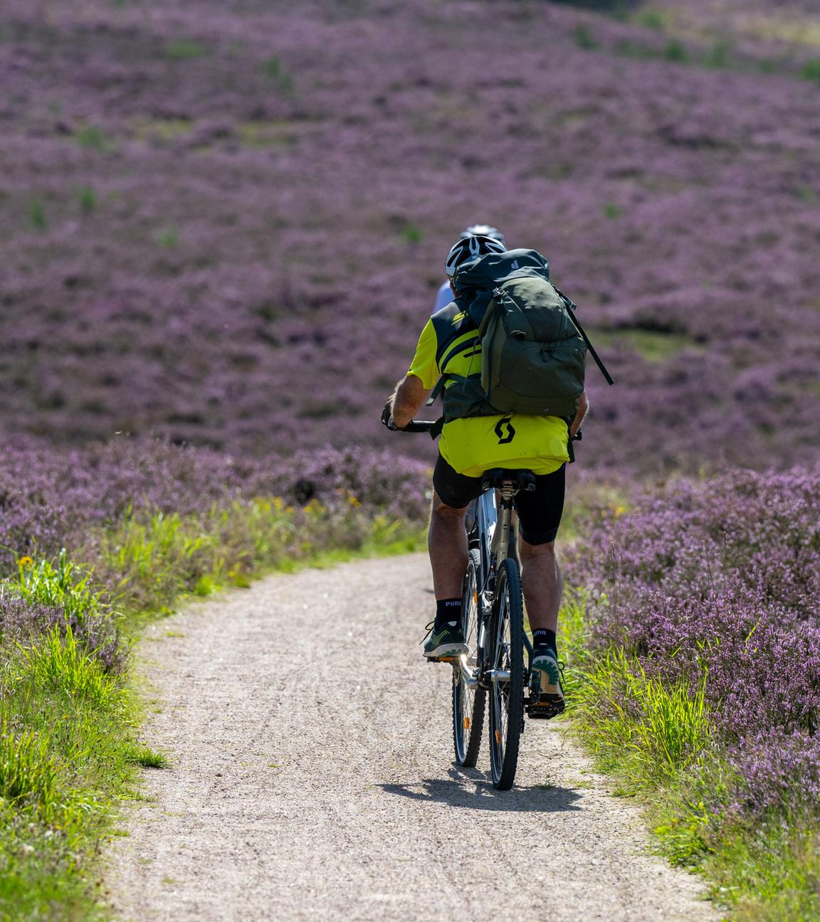 Radfahrer in der Natur.