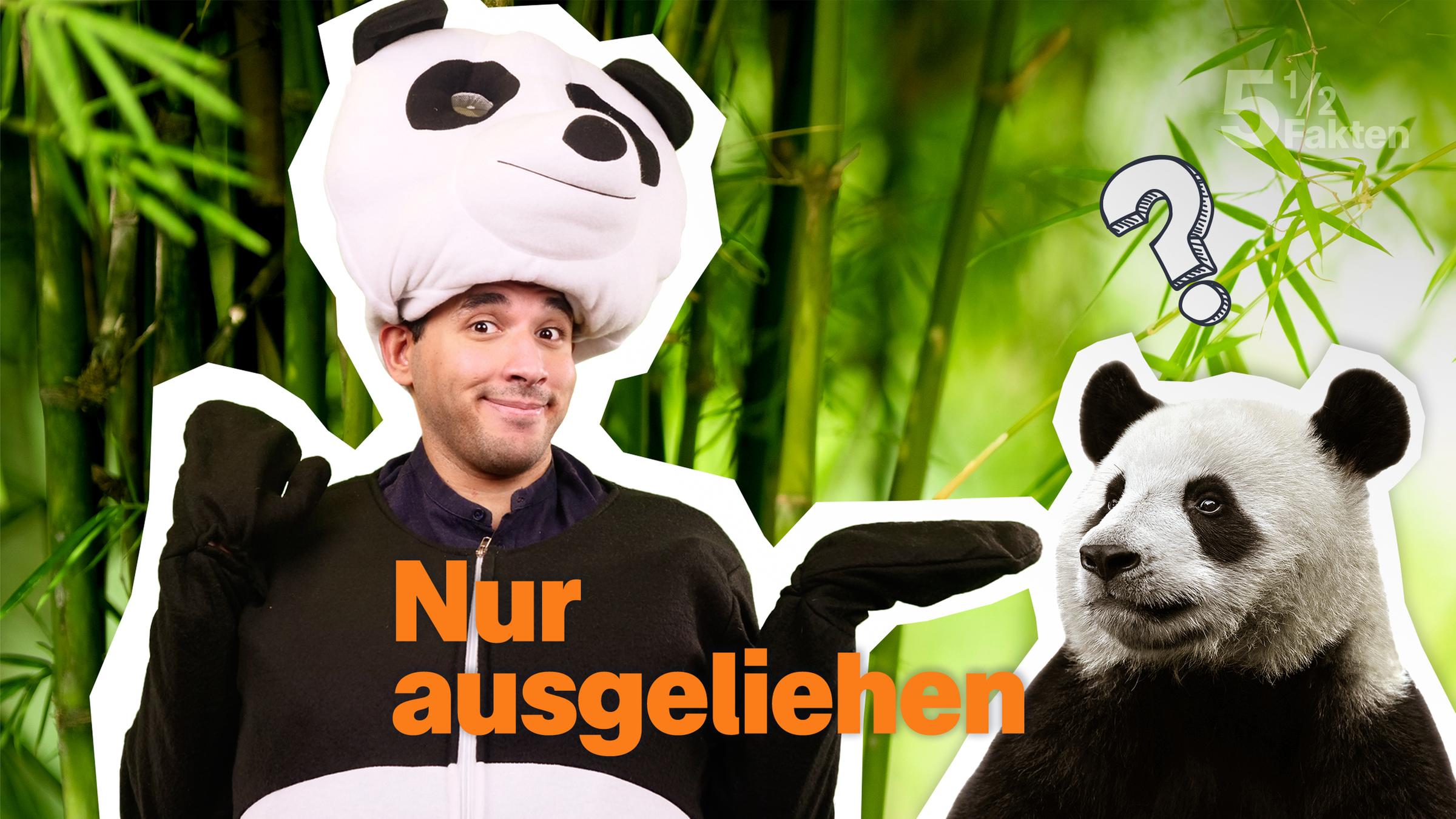 Sherif im Pandakostüm mit Pandabär und Schriftzug "Nur ausgeliehen?"