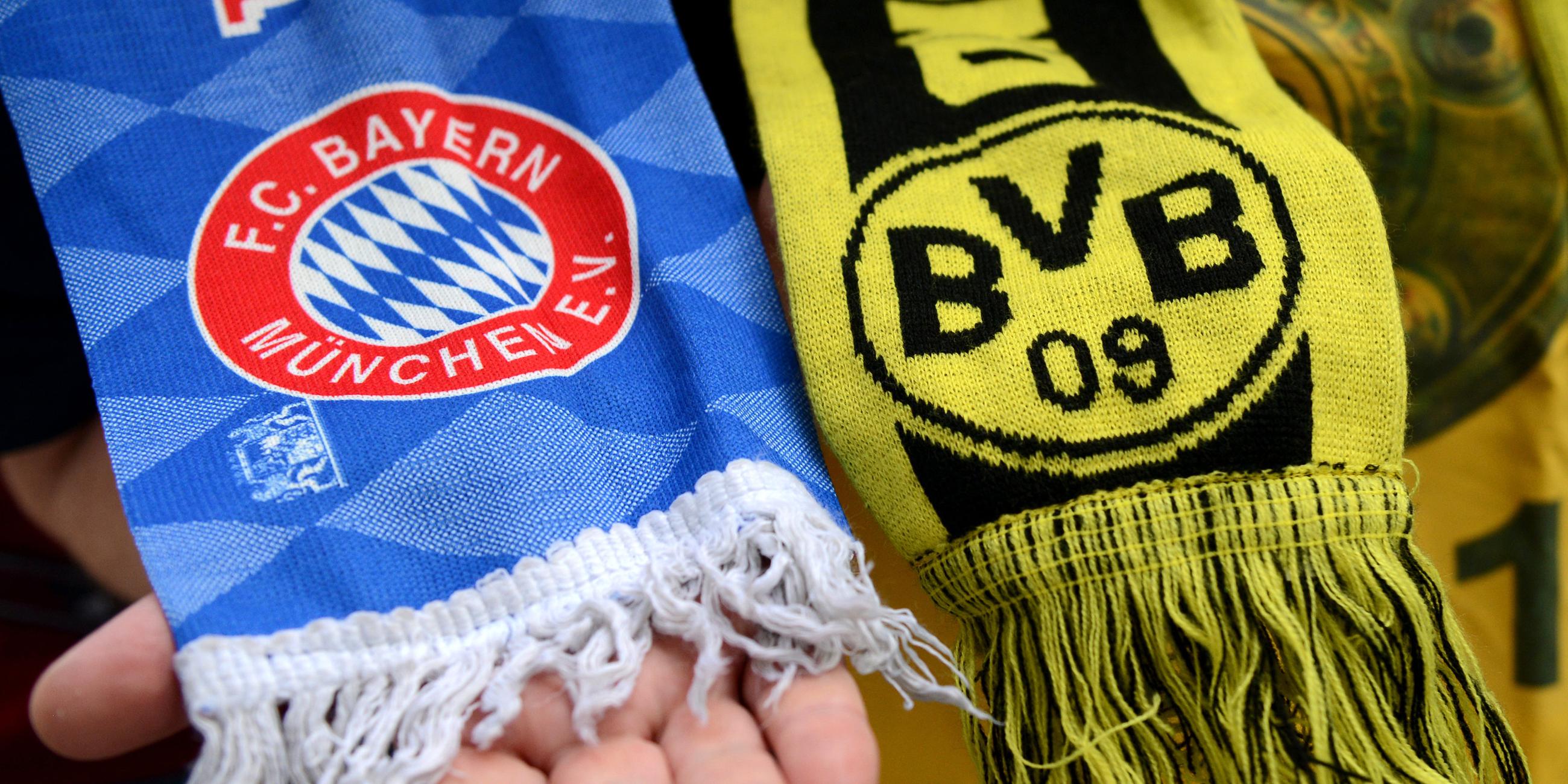 Fanschals vom FC Bayern München und Borussia Dortmund