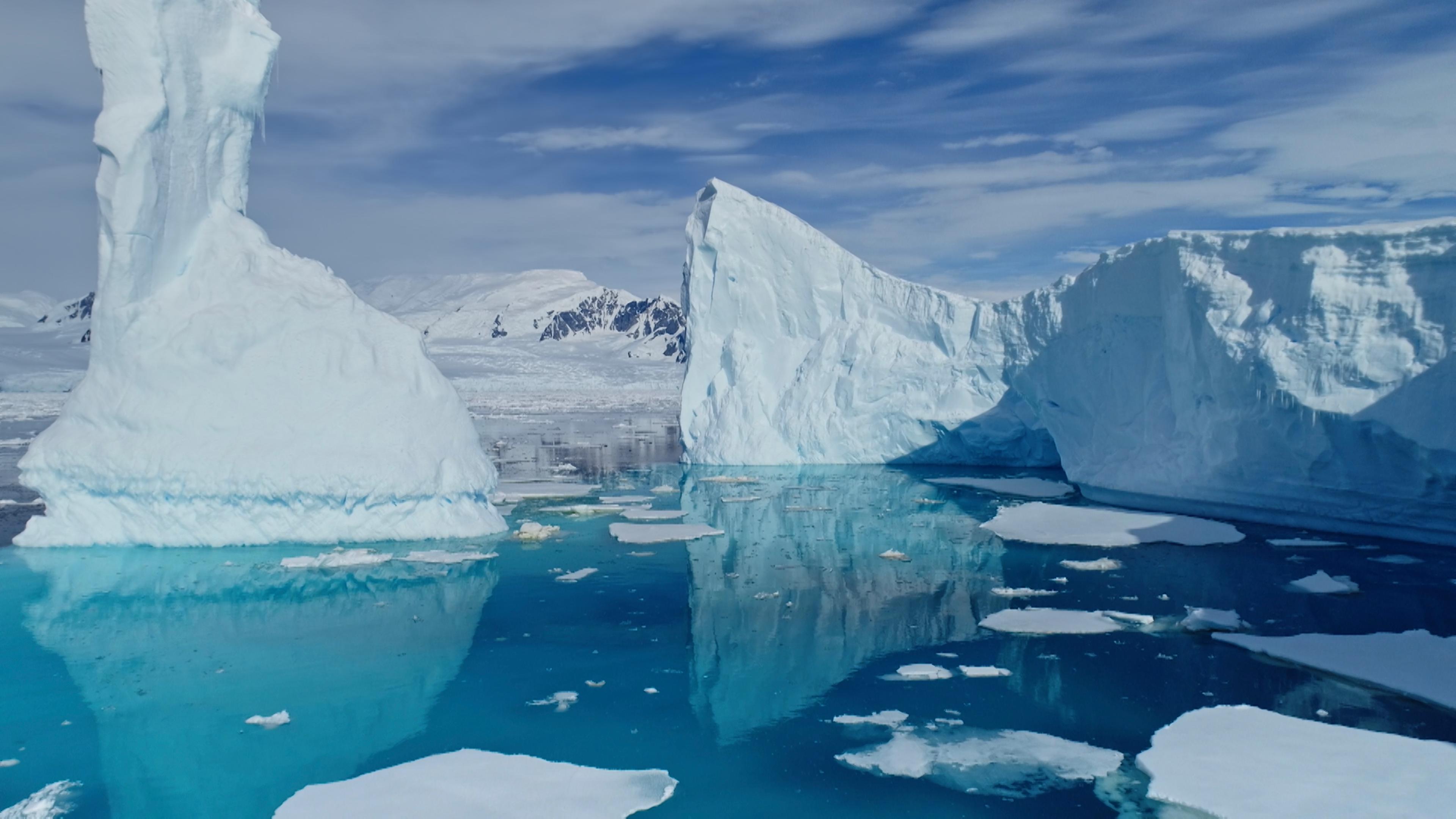 Eisberge und Eisschollen