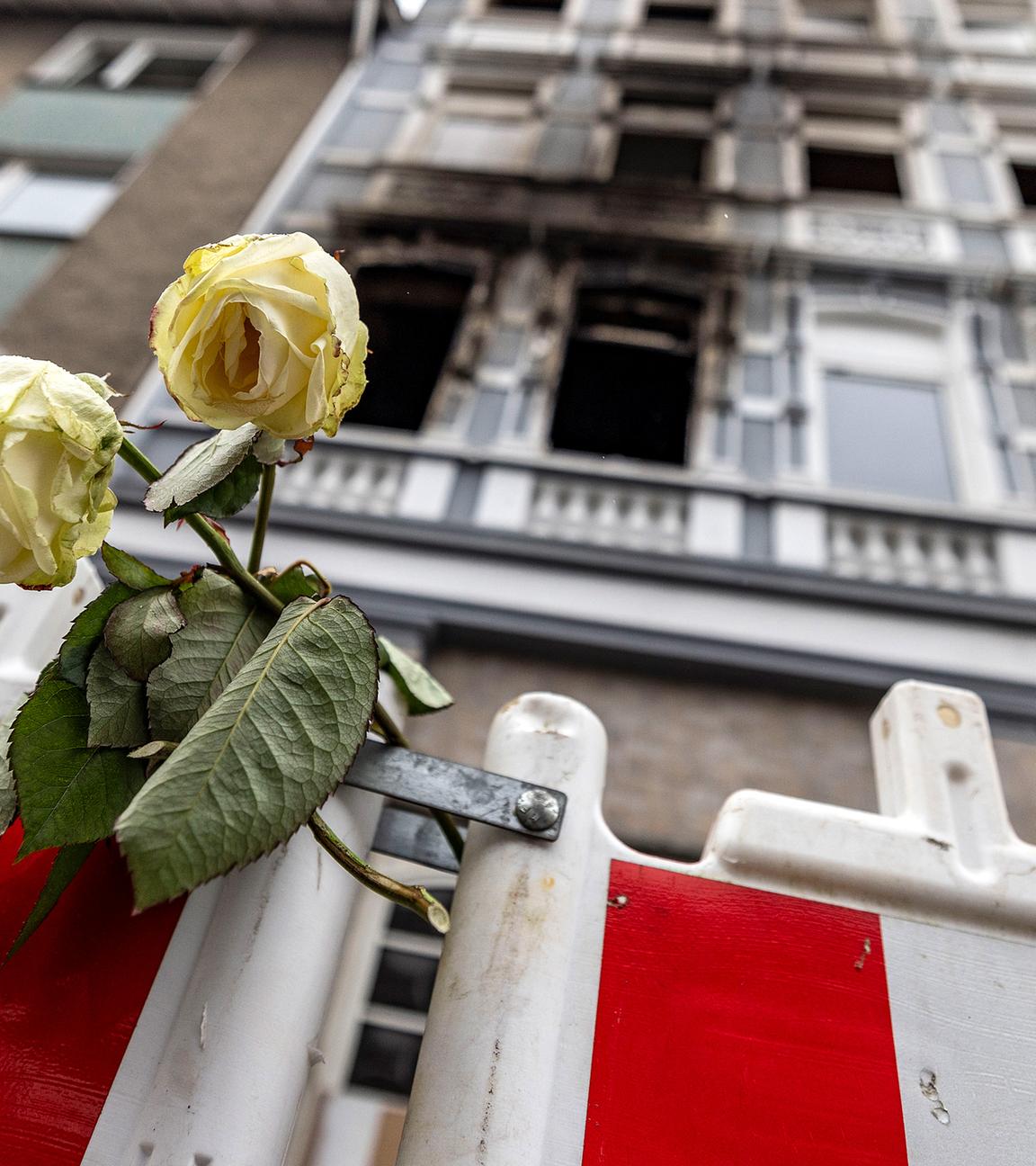 Eine weiße Rose an einer Absperrbake vor dem Brandort in Solingen