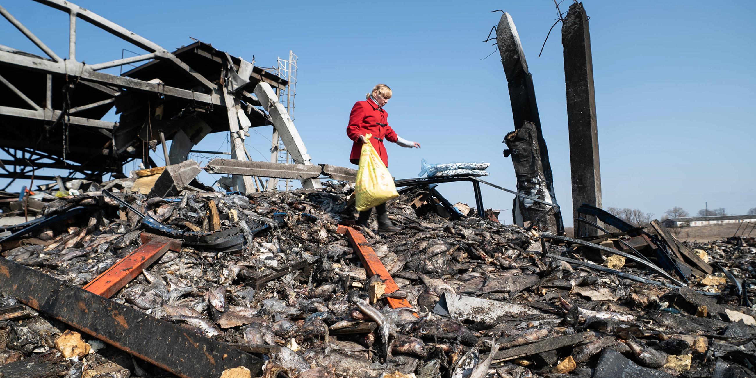 Berge von Fisch auf verbranntem Boden: Nach dem Angriff auf eine Fischfabrik nahe Kiew Ende März sucht diese Ukrainerin nach etwas Essbarem.