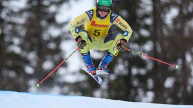 Skicrosser Wilmsmann siegt auf der Reiteralm