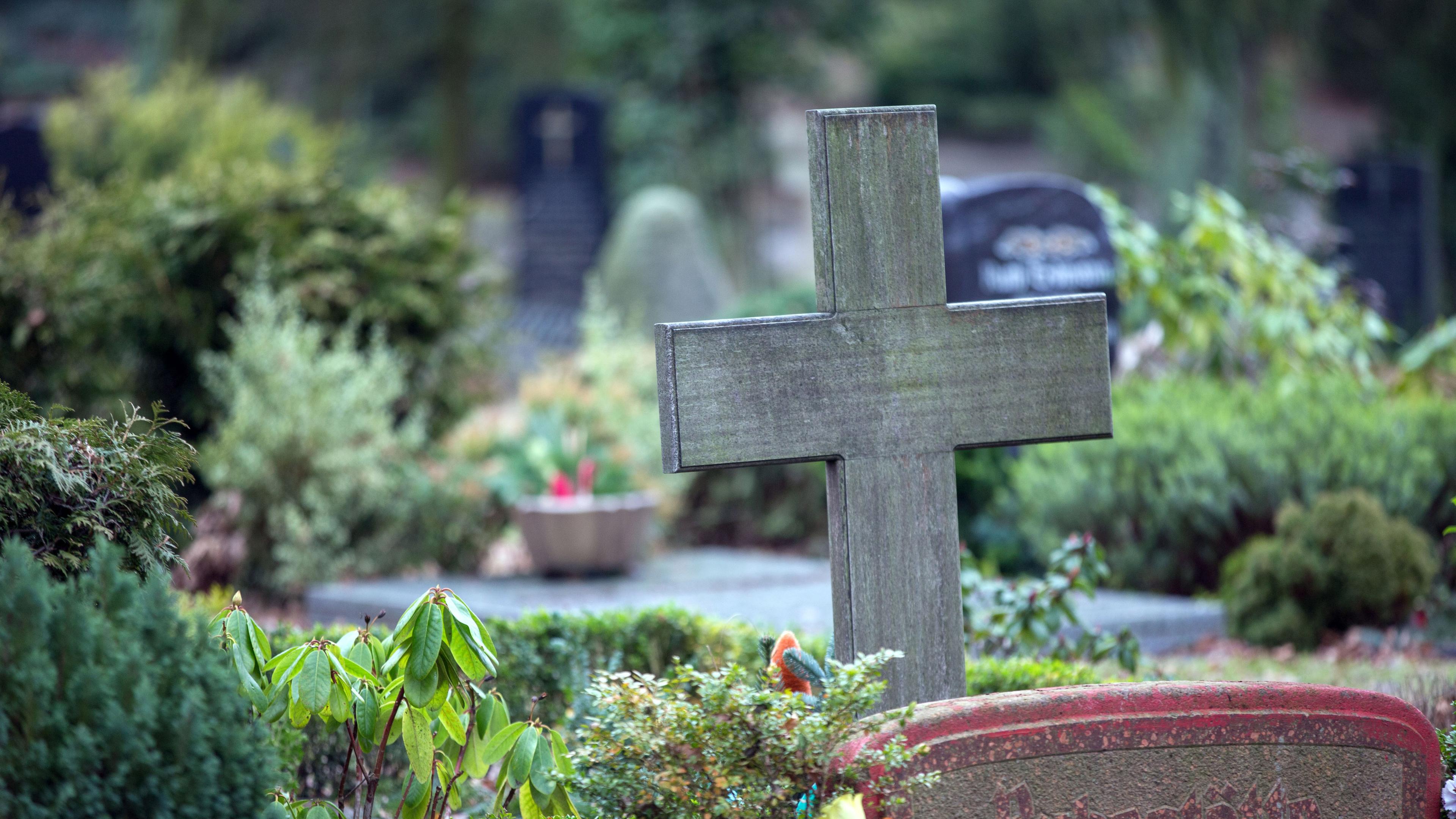 Wenn Dem Friedhof Der Tod Droht Zdfheute