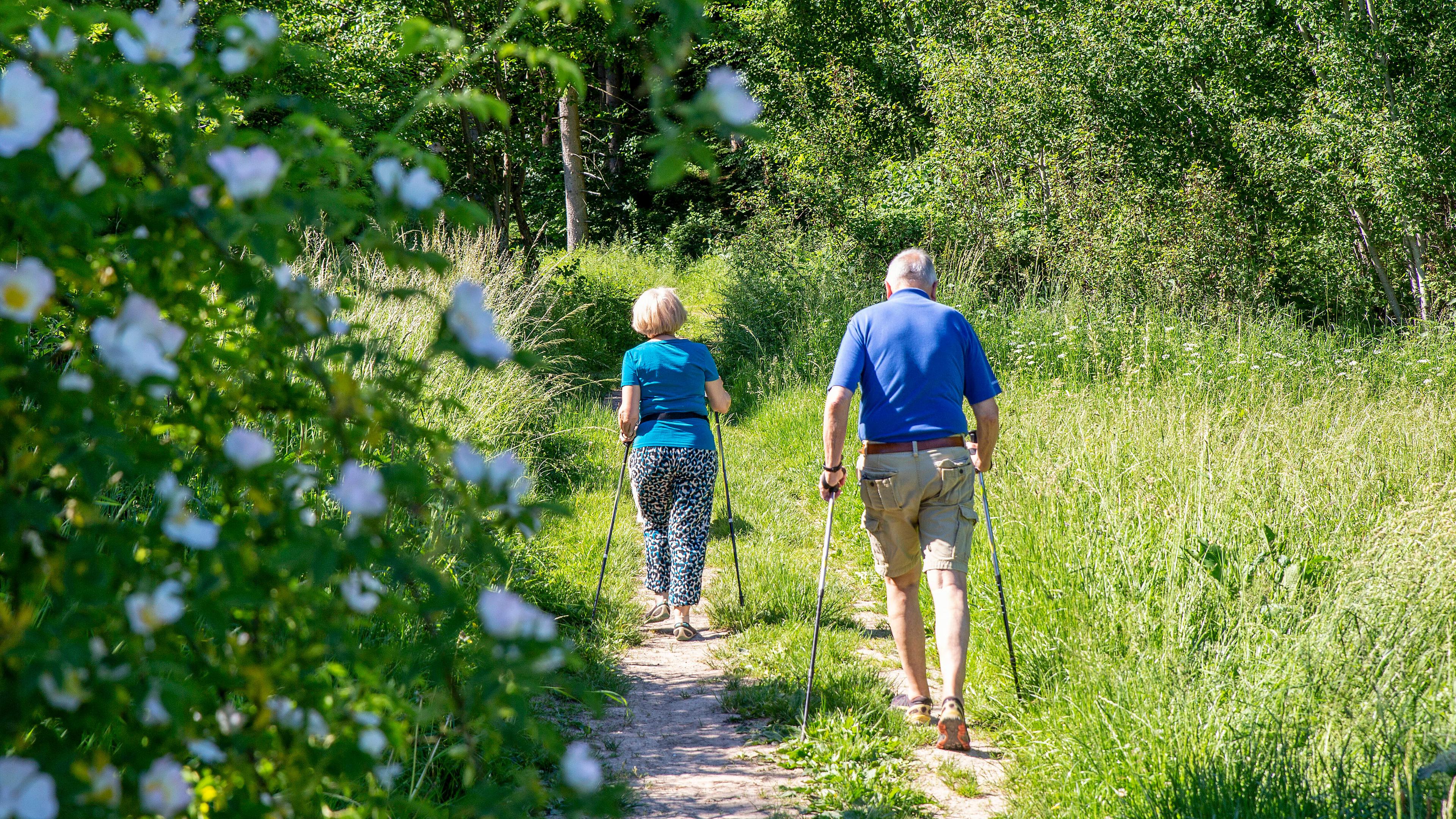 Seniorenpaar mit Nordic-Walking-Stöcken geht durch Gras im Wald