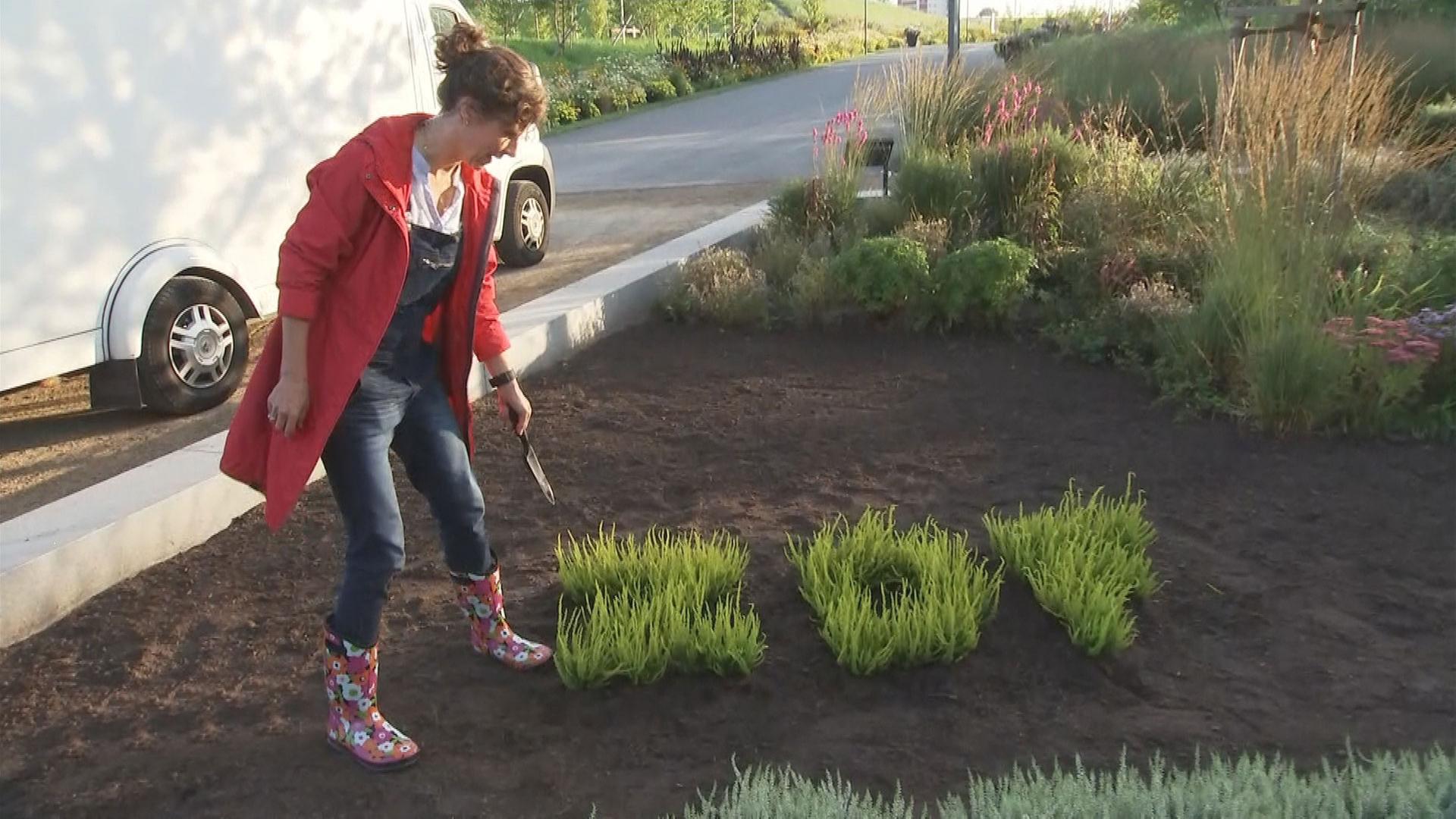 Platz Im Garten Internationale Gartenausstellung Zdfheute