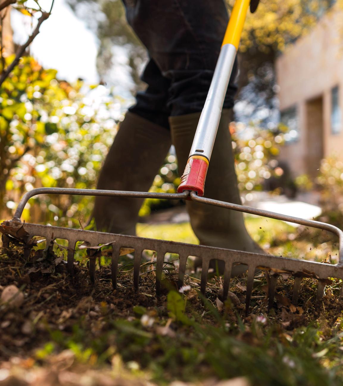 Mann arbeitet mit Harke im Garten