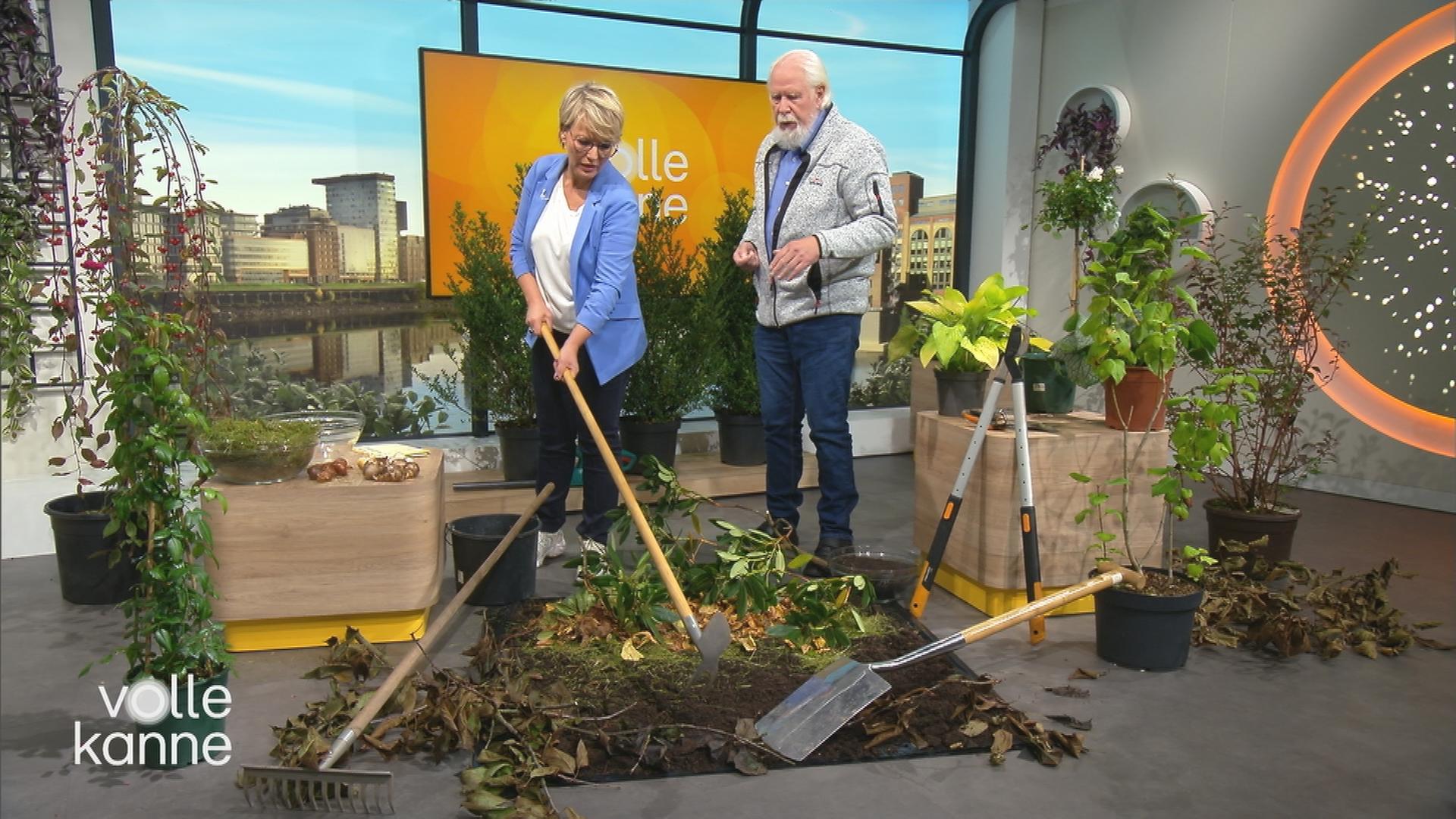 Elmar Mai gibt im "Volle Kanne"Studio Tipps zu den Gartenvorbereitungen im Herbst für die kommende Saison