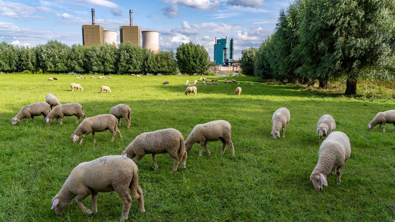 Kraftwerksstrategie: Das Plant Die Ampel-Regierung - ZDFheute