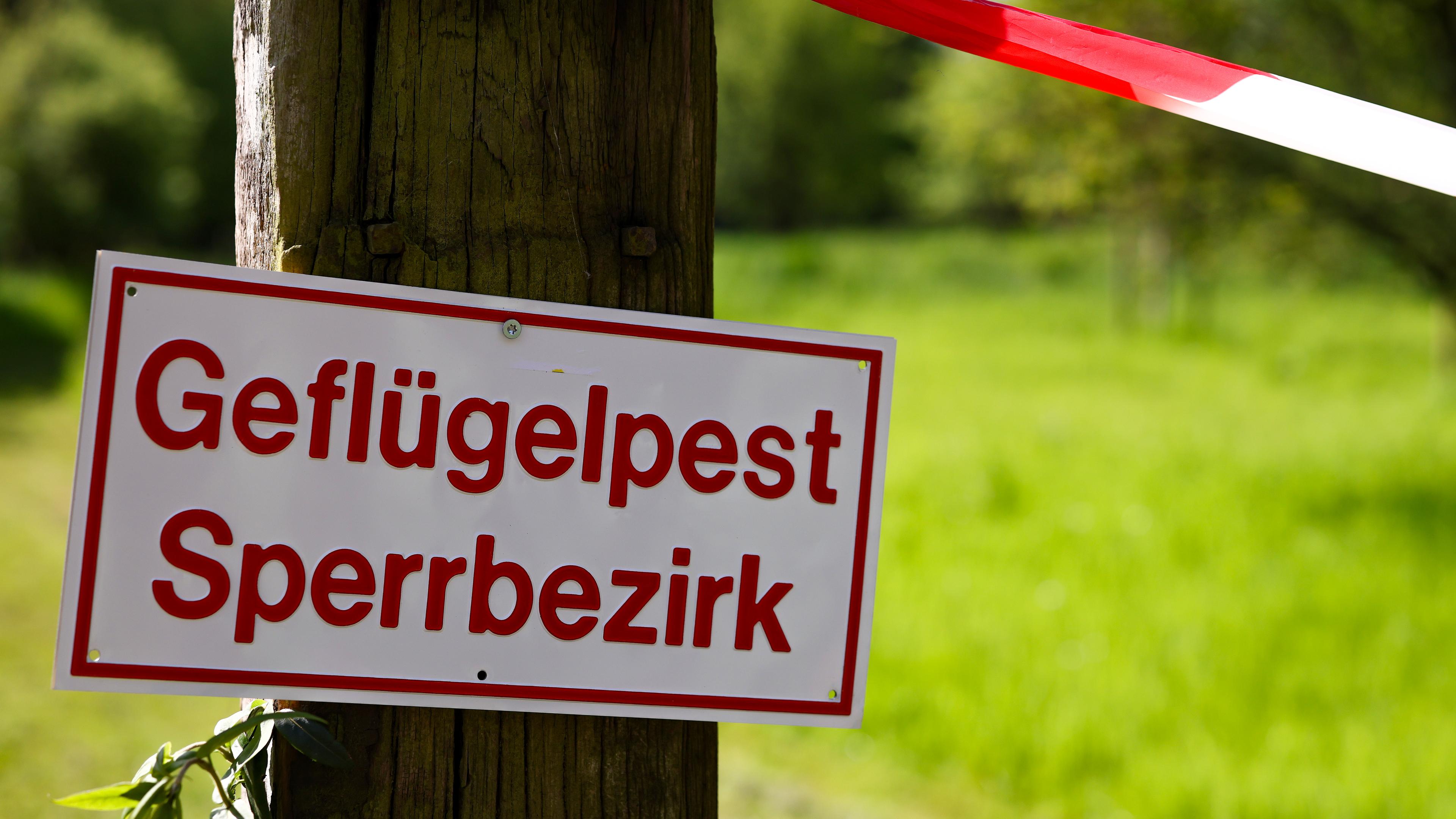 29.04.2024, Nordrhein-Westfalen, Hattingen: Ein Warnschild zur Geflügelpest hängt bei einer Tierseuchenübung. In Zusammenarbeit mit weiteren Kreisen probt der Ennepe-Ruhr-Kreis, was bei einem Ausbruch der Vogelgrippe zu tun wäre.