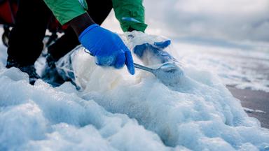 Greenpeace warnt: Chemikalien in Meeresschaum