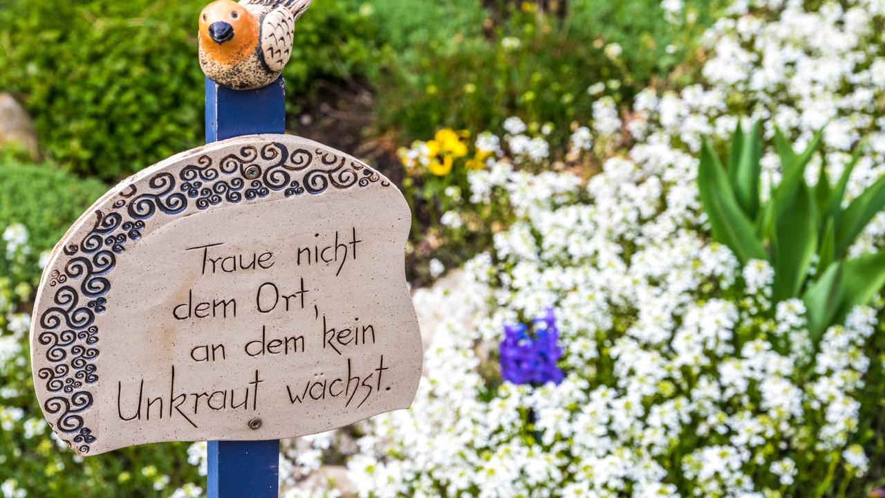 Gift Im Garten Zdfmediathek