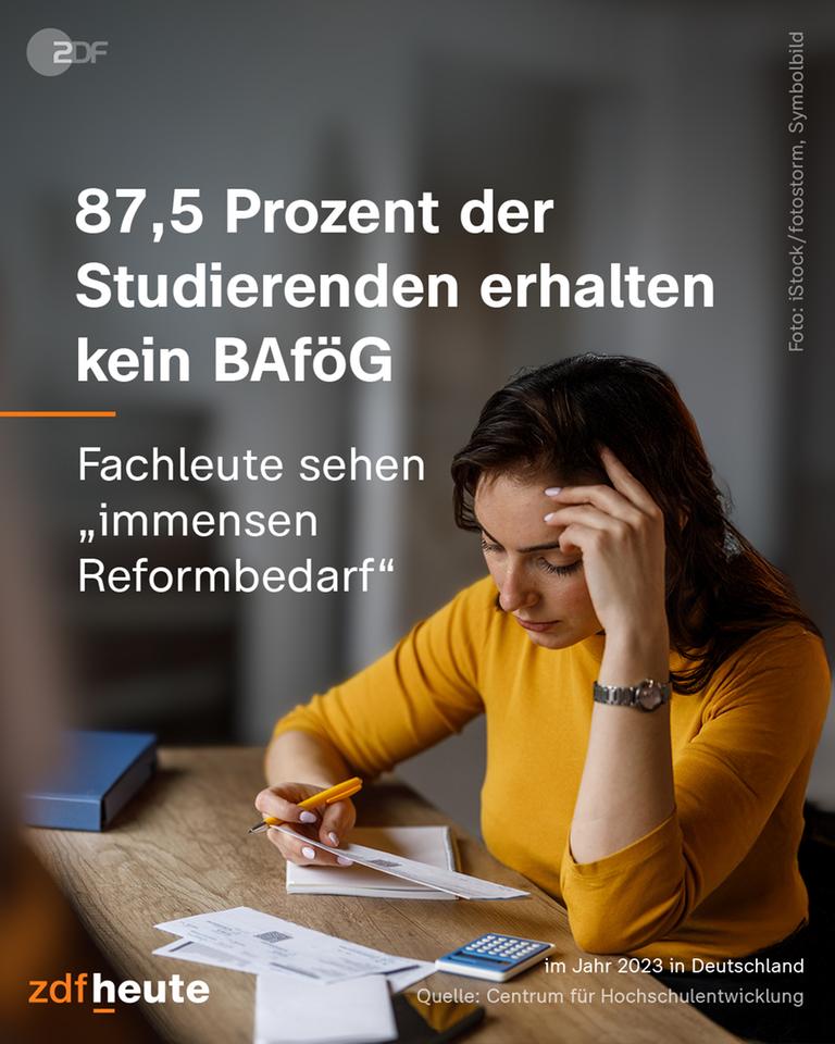 Grafik, 87,5 Prozent der Studierenden erhalten kein BAföG