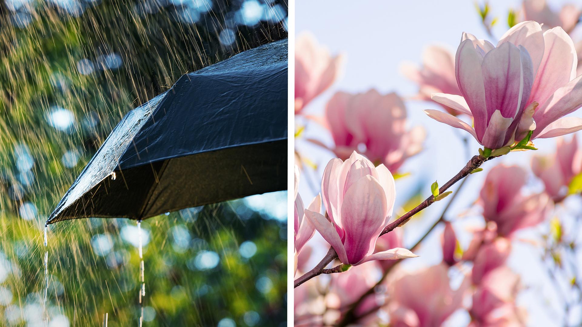 logo! erklärt Aprilwetter