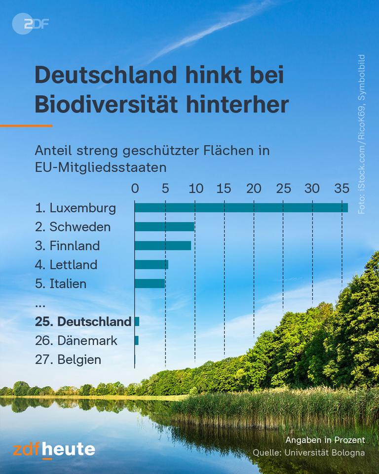 Grafik: Biodiversität