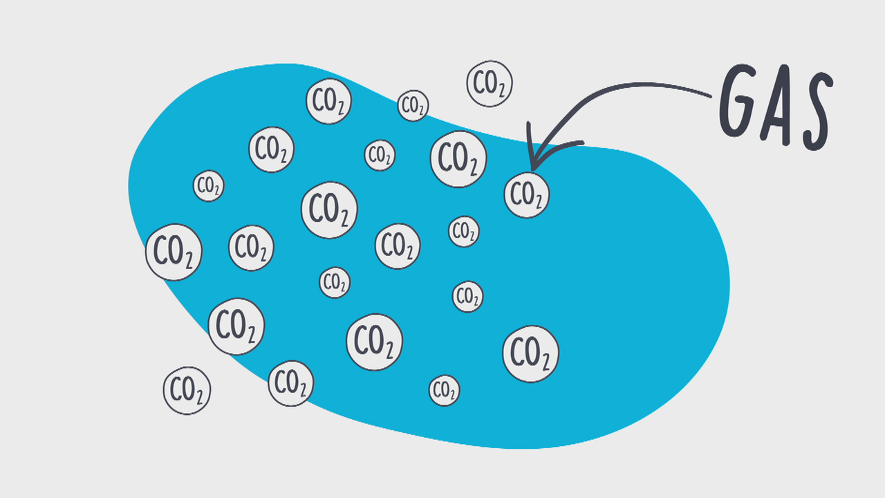 logo! erklärt: Das Gas CO2 - ZDFtivi