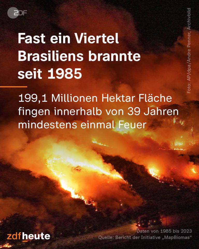 Grafik: Fast ein Viertel Brasiliens brannte seit 1985