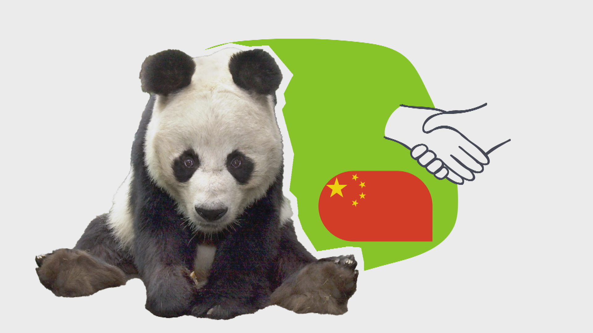 Grafik: Pandas und Politik