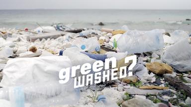 Plastikmüll am Strand und Frage Greenwashed?